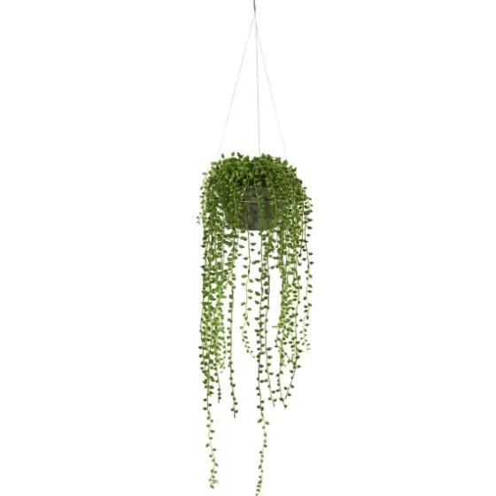 String Of Pearl Plant In Hanging Planter-Kirkland's Home Hot