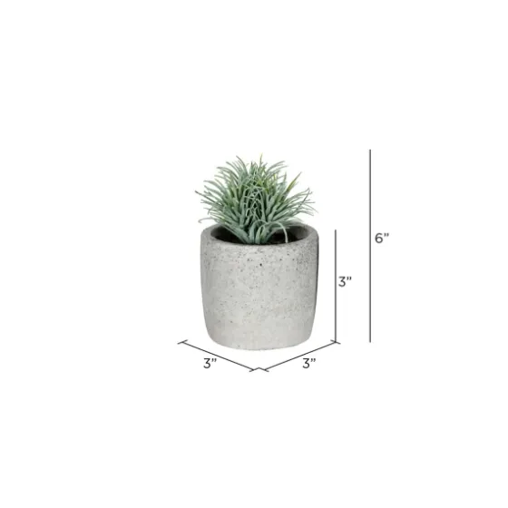 Succulents In Ceramic Pots, Set Of 4-Kirkland's Home Cheap