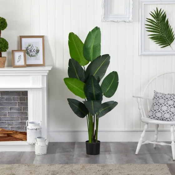 Travelers Palm Tree In Black Planter, 58 In.-Kirkland's Home Best
