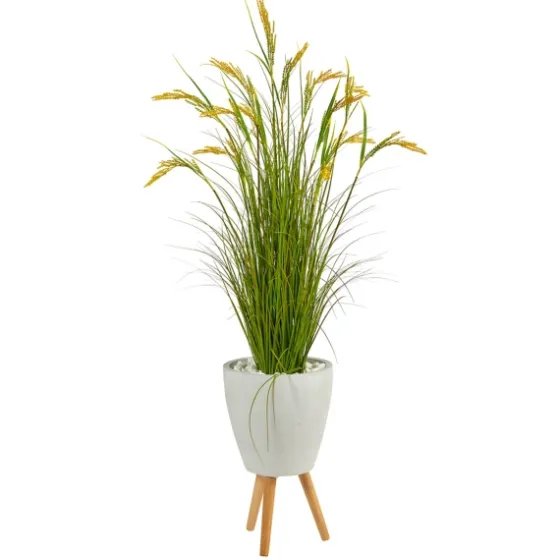 Wheat Grass In White Planter-Kirkland's Home Best Sale