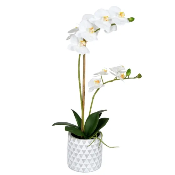 White Orchid Real Touch Arrangement In Ceramic Pot-Kirkland's Home Cheap