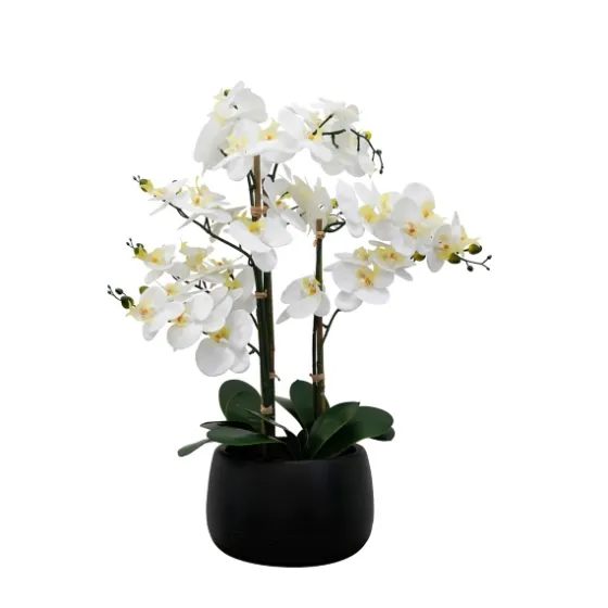 White Real Touch Orchid Arrangement In Black Pot-Kirkland's Home Best Sale
