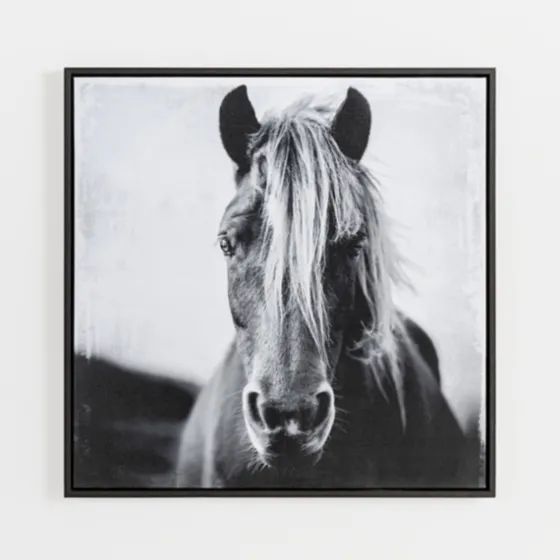 Wild Horse Framed Canvas Art Print-Kirkland's Home New